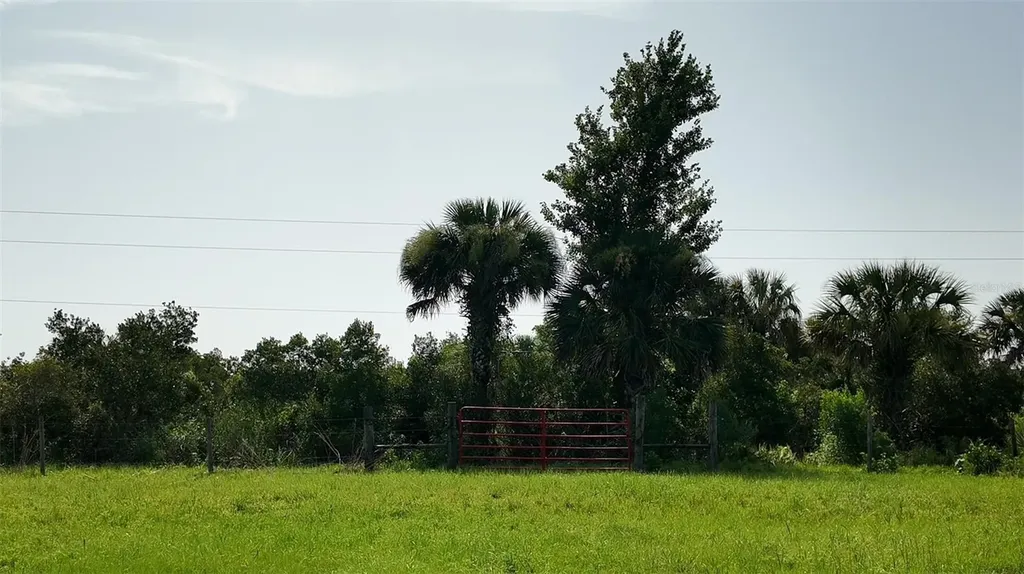 345 Trotting Trail Osteen FL 32764