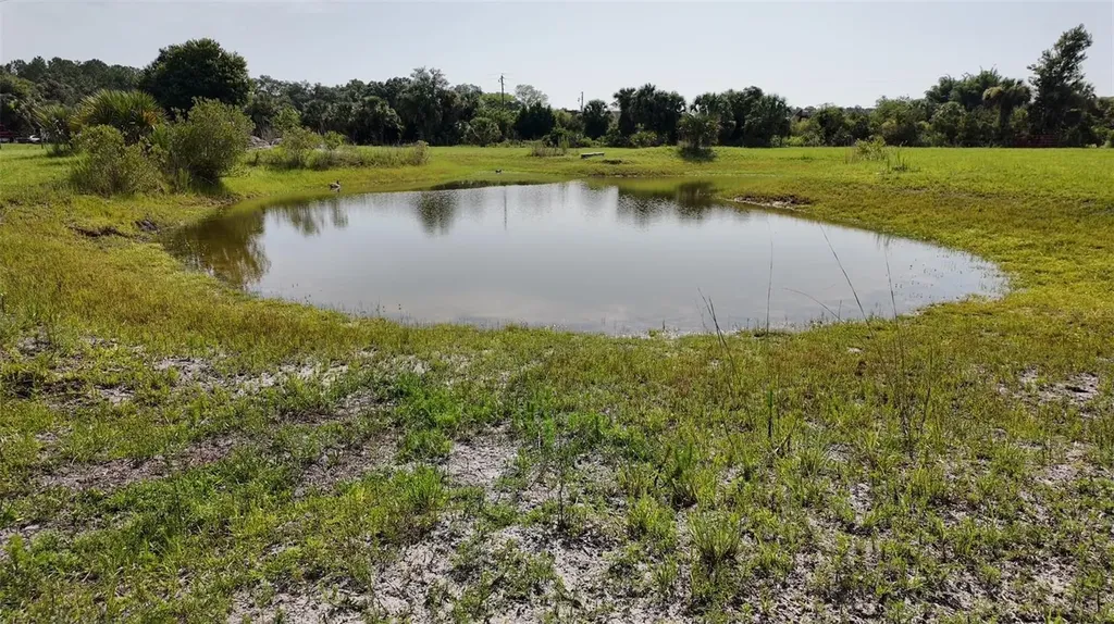 345 Trotting Trail Osteen FL 32764