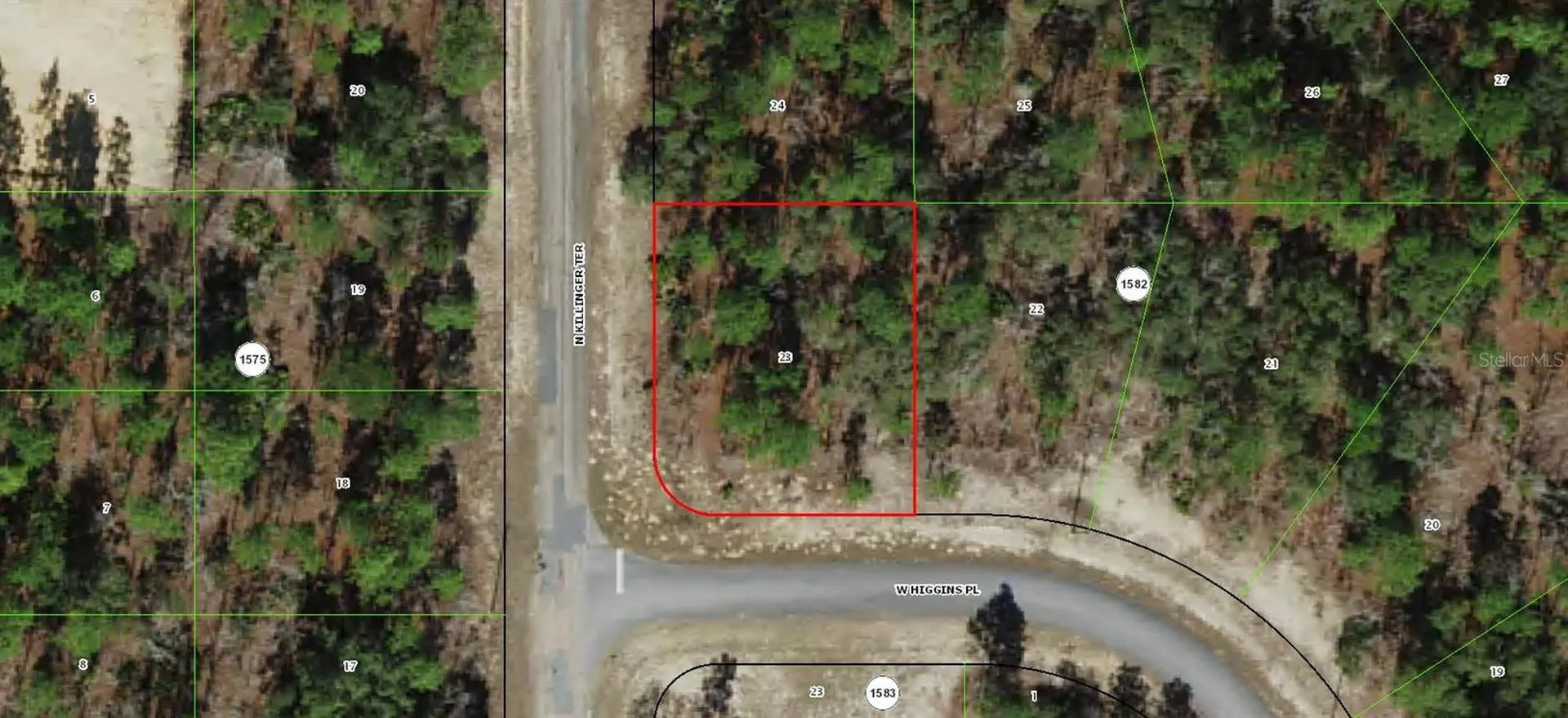 3299 W Higgins Place Citrus Springs FL 34433