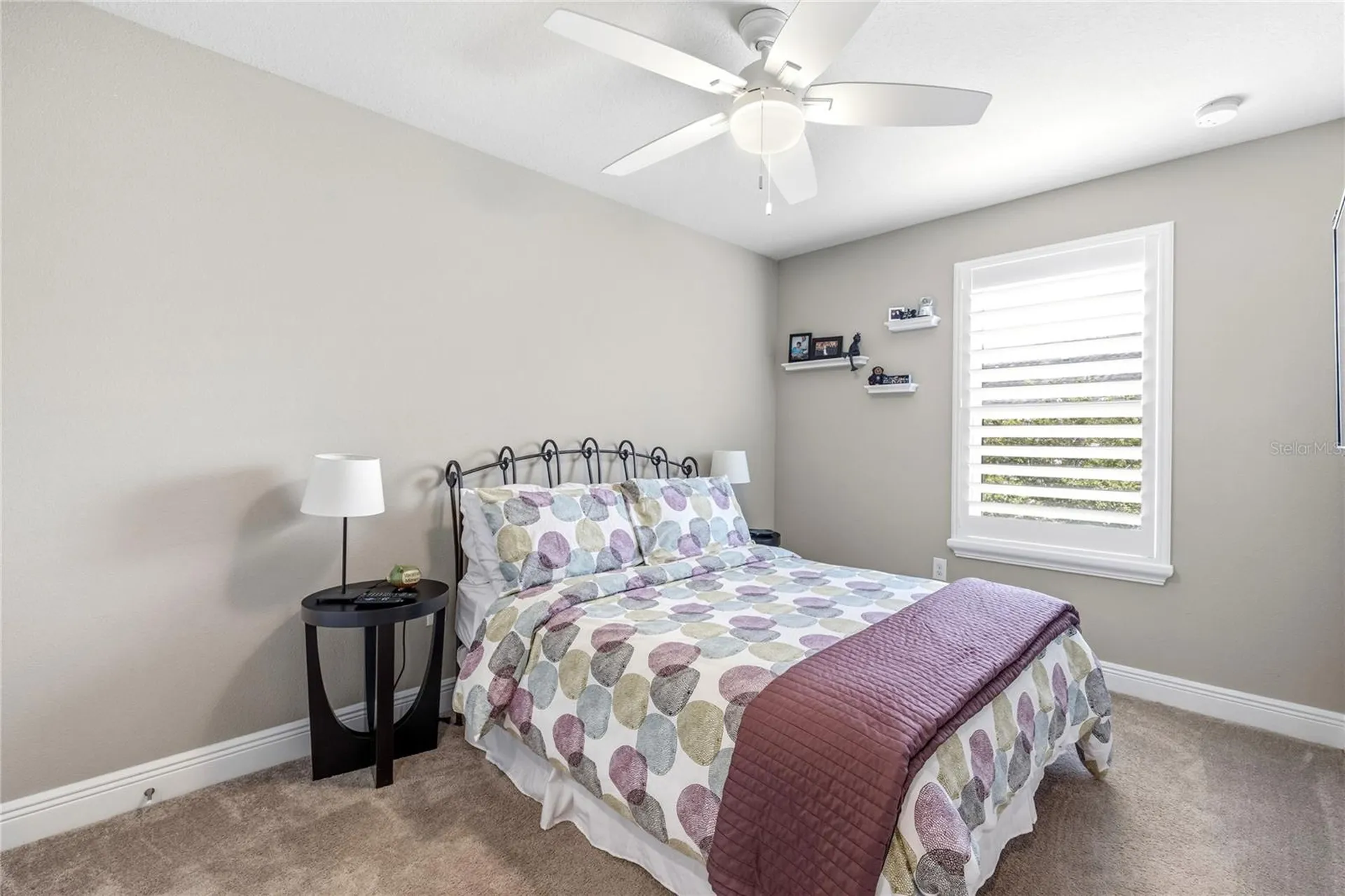 18892 Ulmus Street Lutz FL 33558