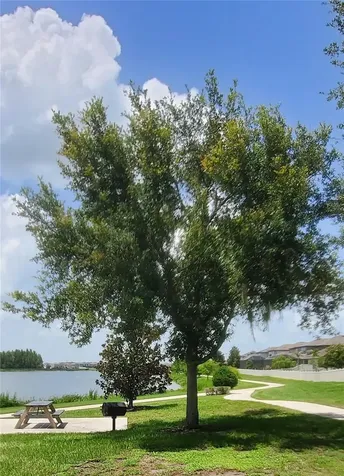 18892 Ulmus Street Lutz FL 33558