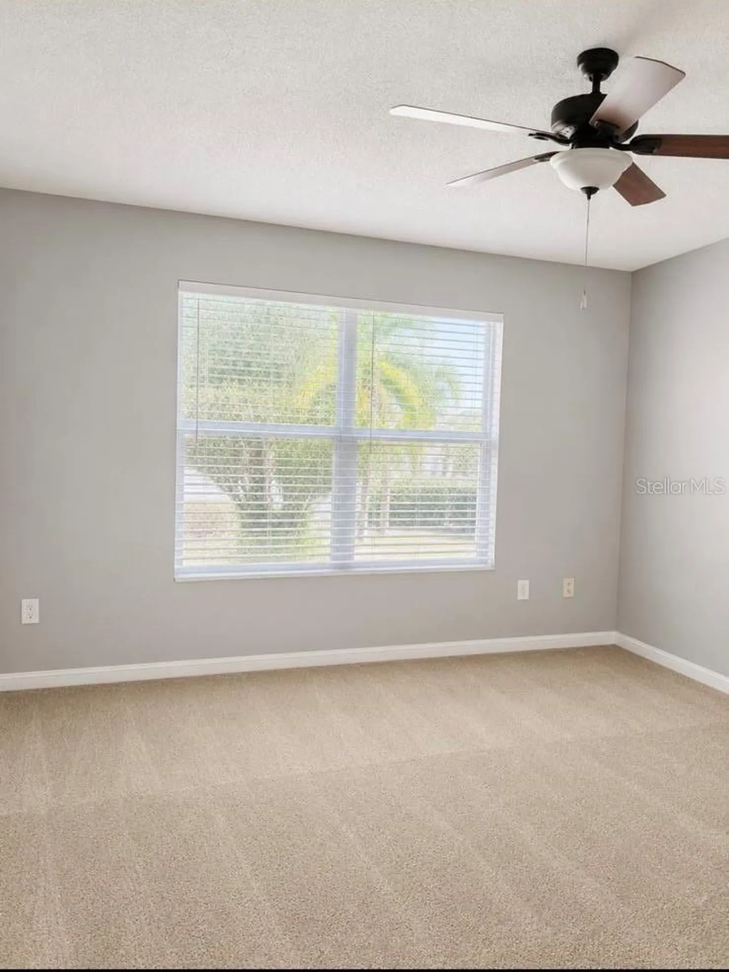 6512 Osprey Lake Circle Riverview FL 33578