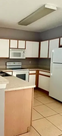 6512 Osprey Lake Circle Riverview FL 33578