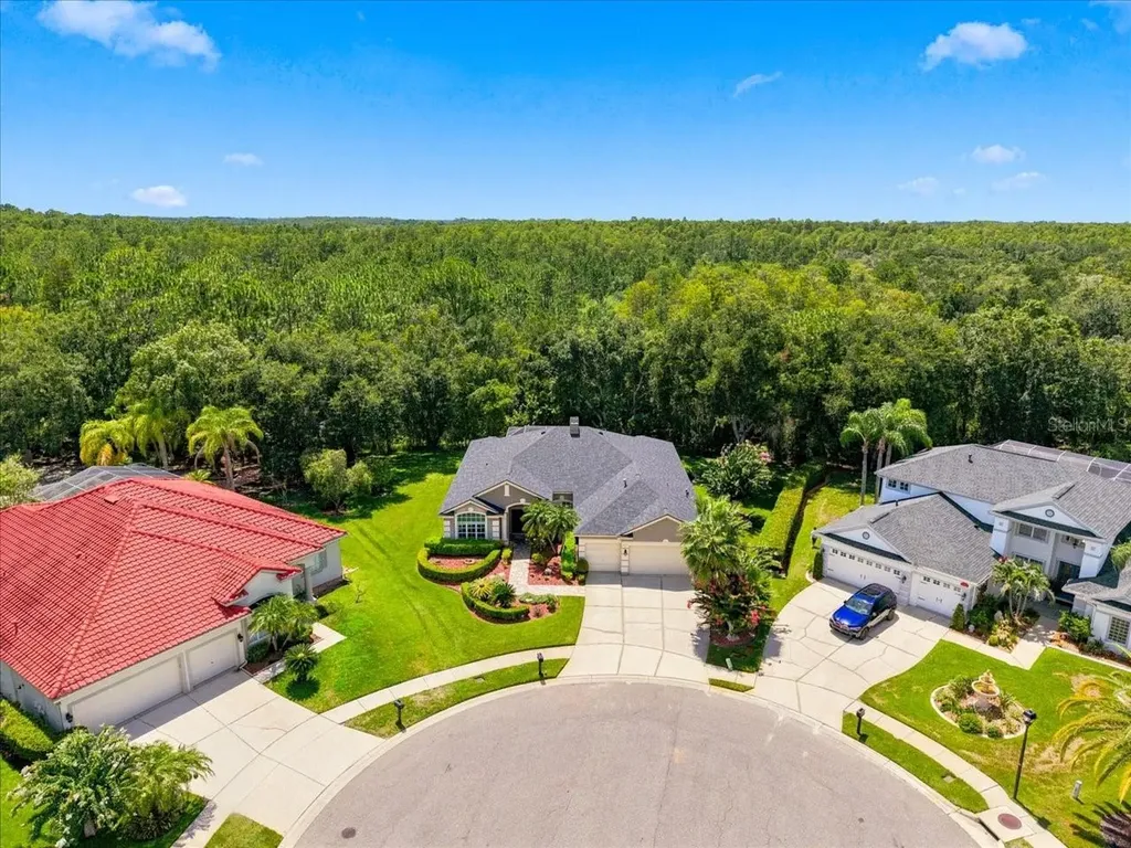 6121 Chene Court Lutz FL 33558