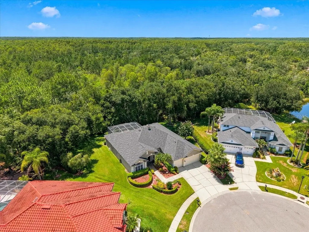 6121 Chene Court Lutz FL 33558