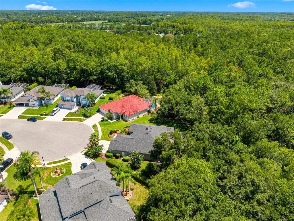 6121 Chene Court Lutz FL 33558
