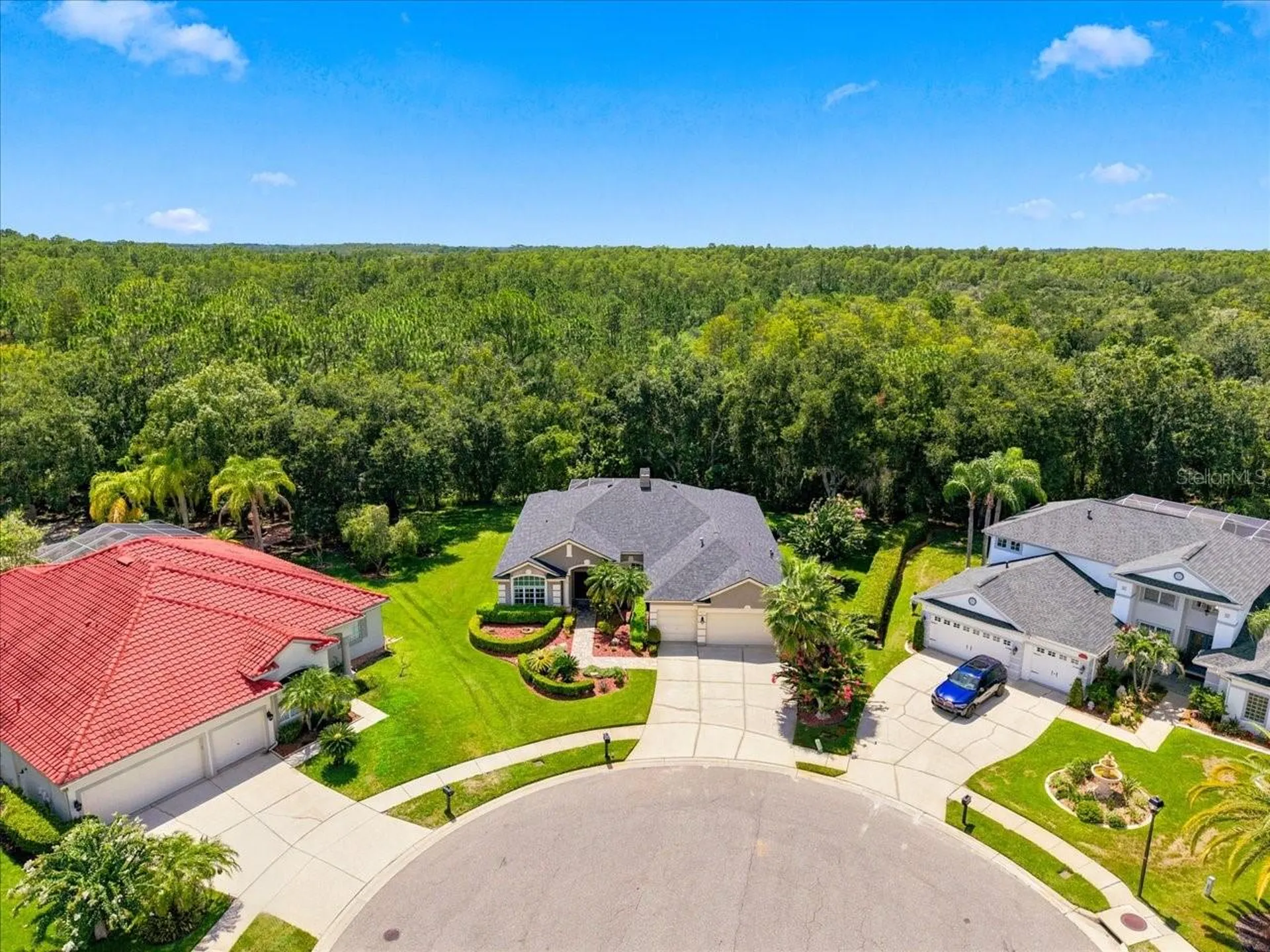 6121 Chene Court Lutz FL 33558