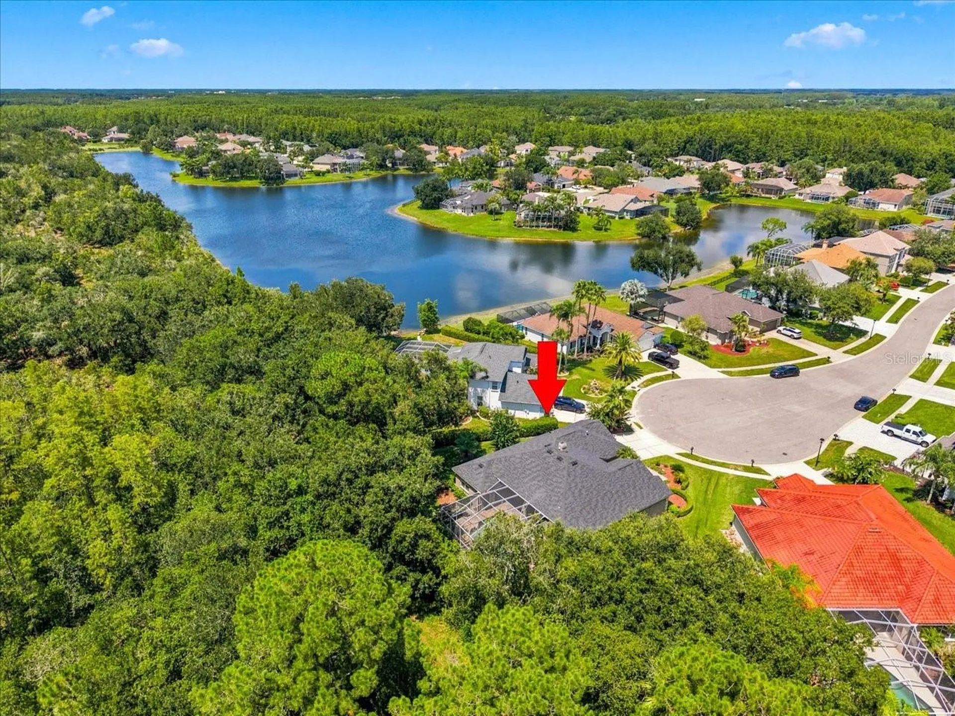 6121 Chene Court Lutz FL 33558