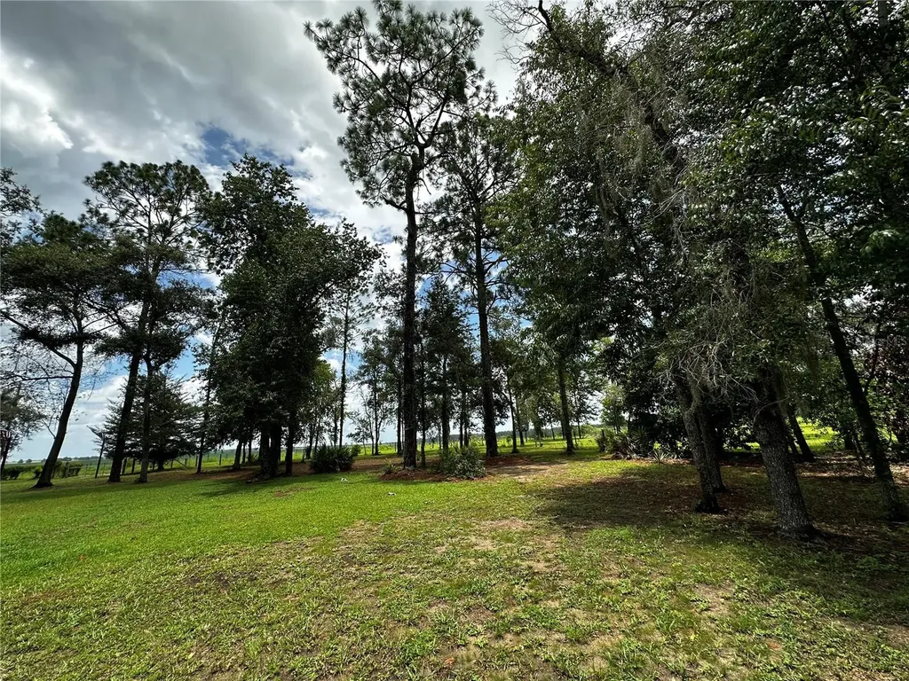 13730 SE 20th Street Morriston FL 32668