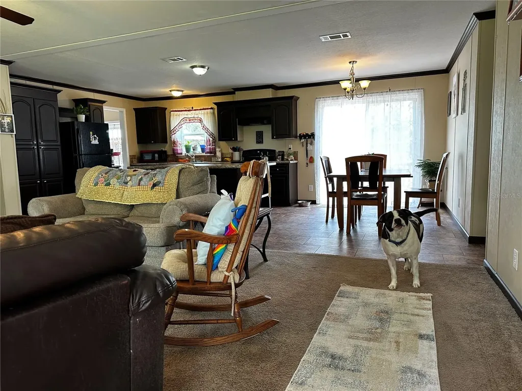 13730 SE 20th Street Morriston FL 32668