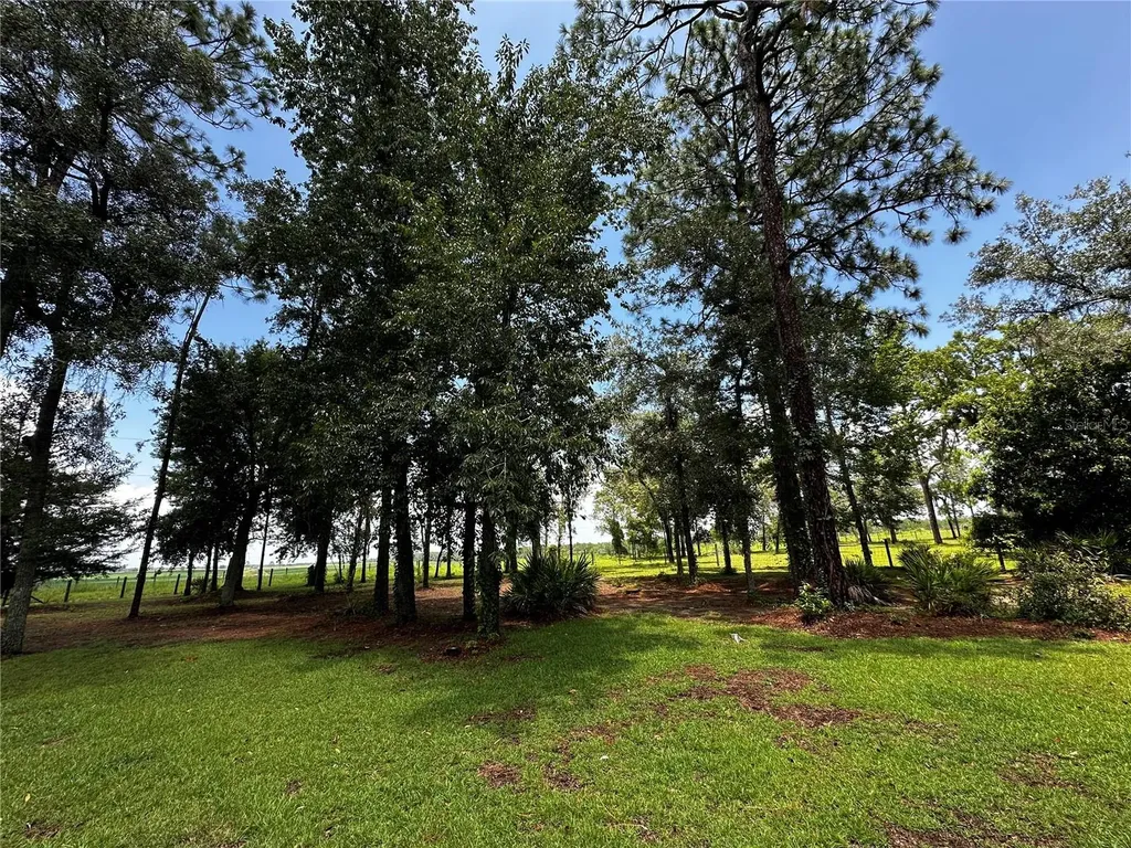 13730 SE 20th Street Morriston FL 32668