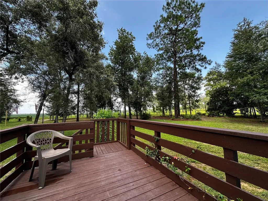 13730 SE 20th Street Morriston FL 32668