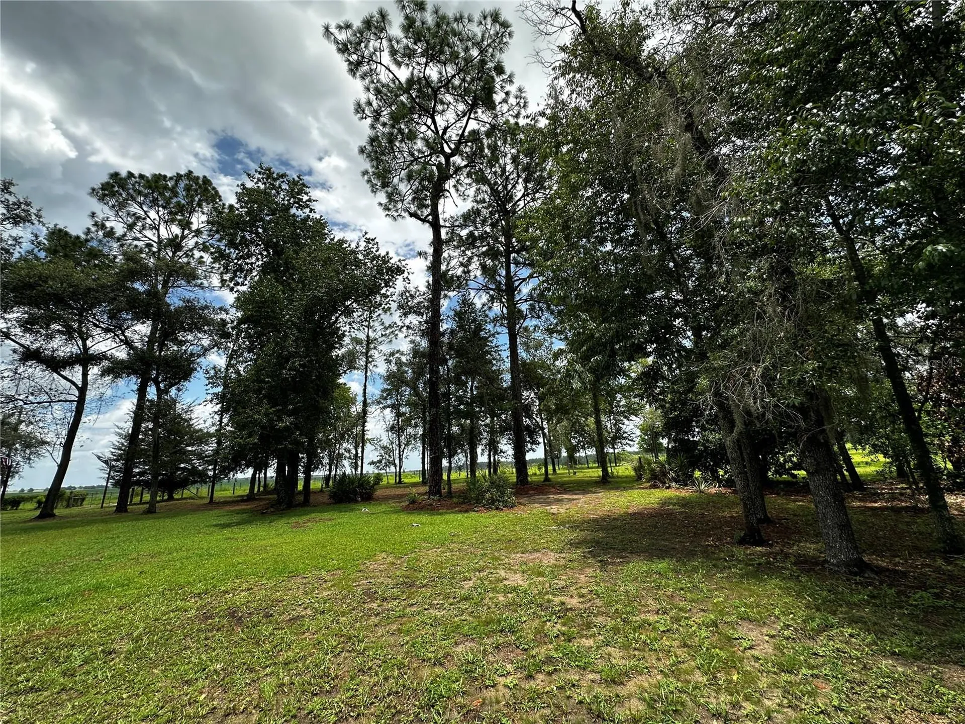 13730 SE 20th Street Morriston FL 32668