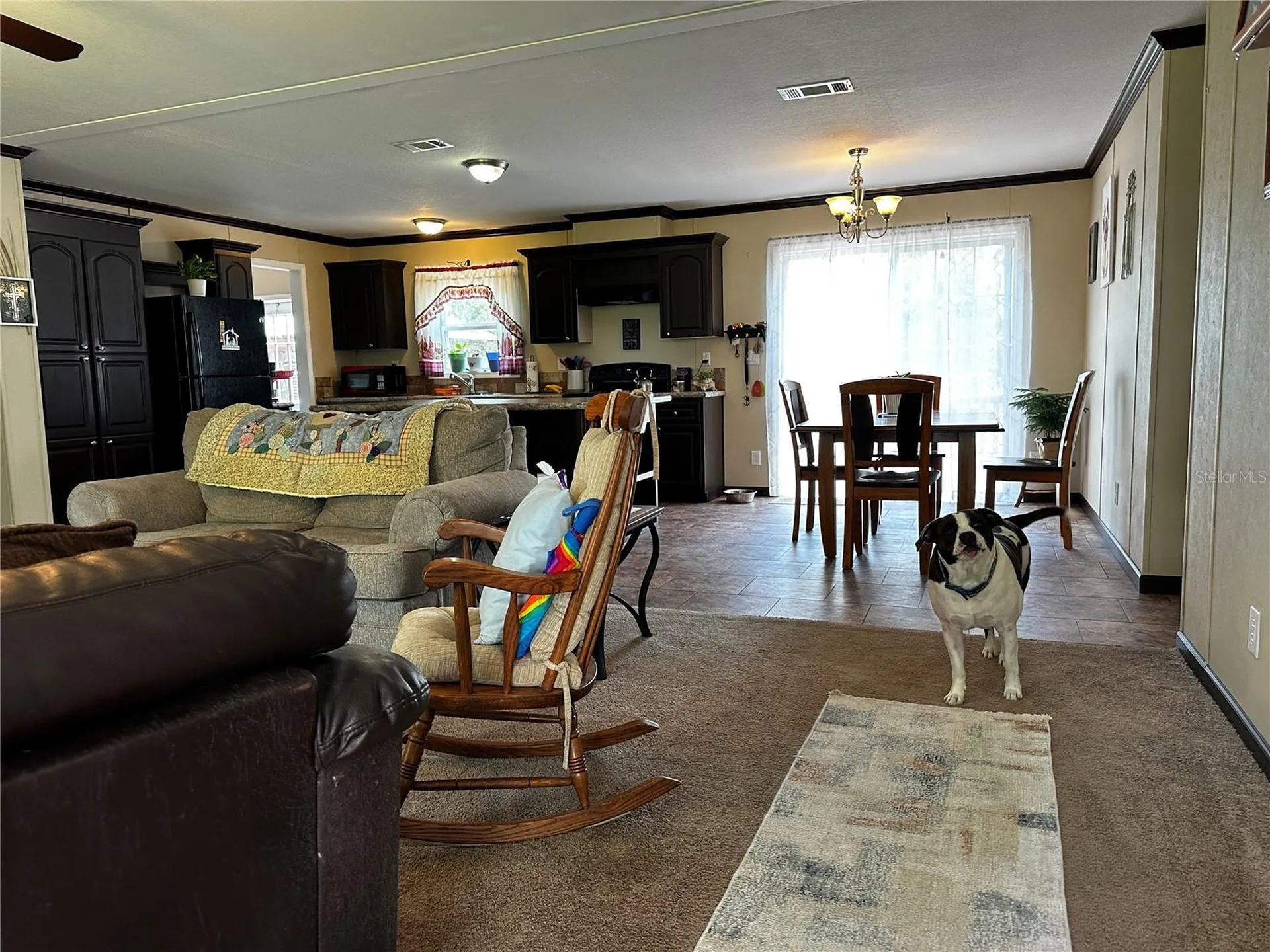 13730 SE 20th Street Morriston FL 32668