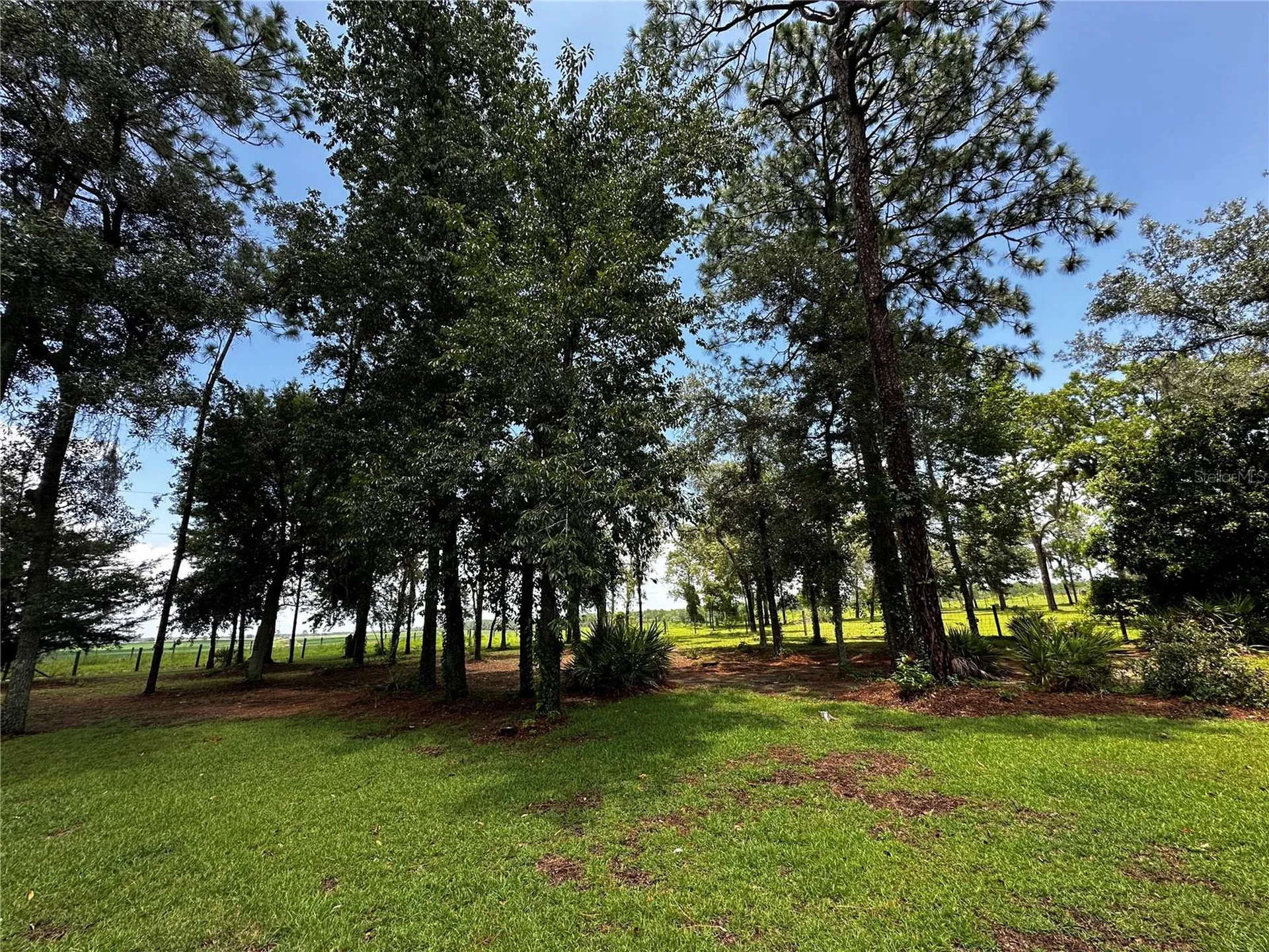 13730 SE 20th Street Morriston FL 32668