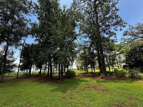 13730 SE 20th Street Morriston FL 32668