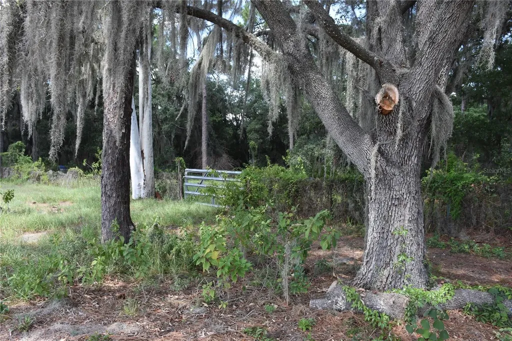 31328 Sand Lake Drive Mount Dora FL 32757