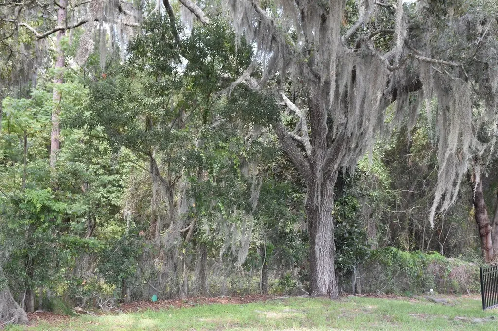 31328 Sand Lake Drive Mount Dora FL 32757