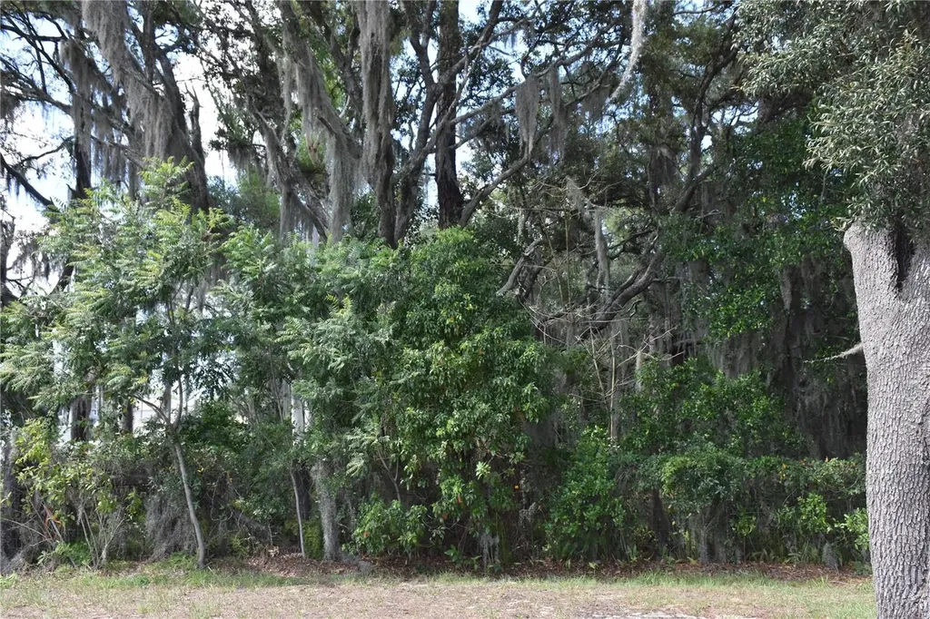 31328 Sand Lake Drive Mount Dora FL 32757