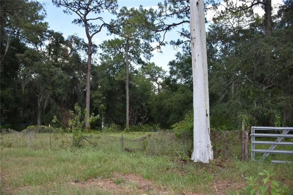 31328 Sand Lake Drive Mount Dora FL 32757
