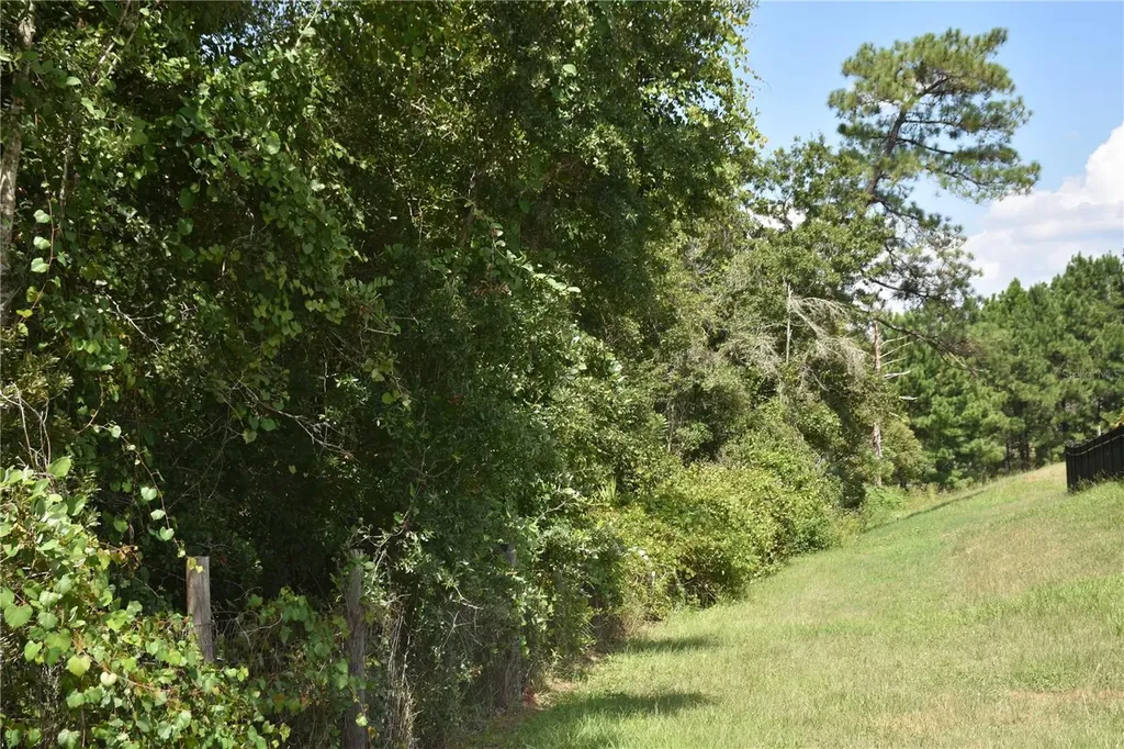 31328 Sand Lake Drive Mount Dora FL 32757