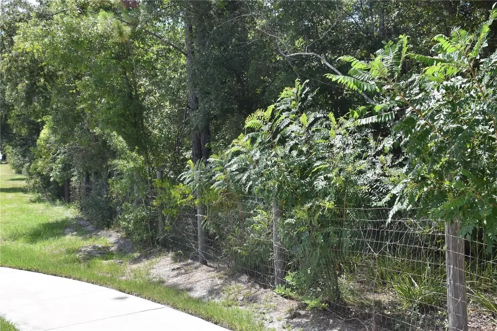 31328 Sand Lake Drive Mount Dora FL 32757