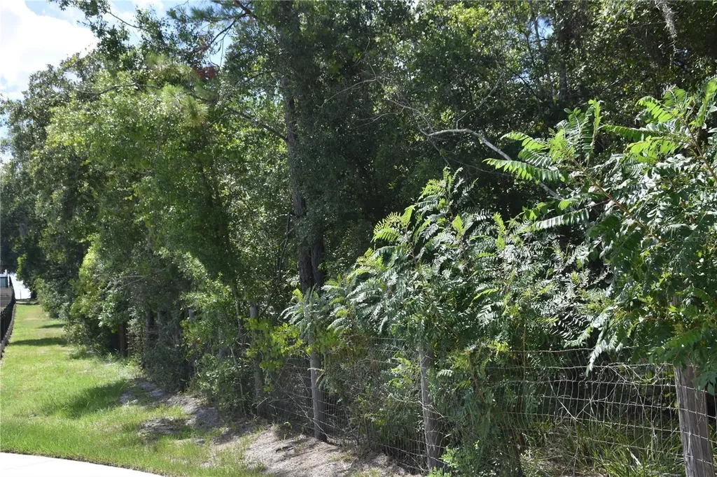 31328 Sand Lake Drive Mount Dora FL 32757