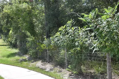 31328 Sand Lake Drive Mount Dora FL 32757