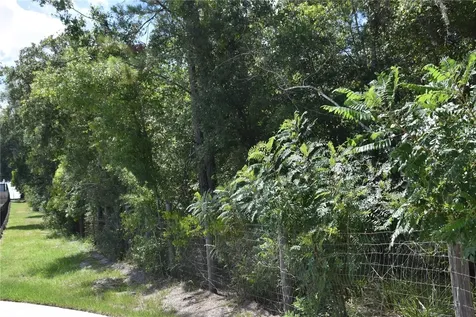 31328 Sand Lake Drive Mount Dora FL 32757