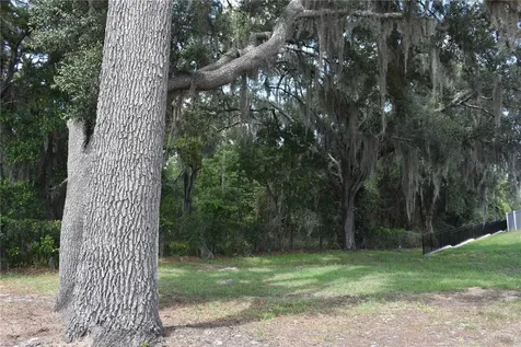 31328 Sand Lake Drive Mount Dora FL 32757