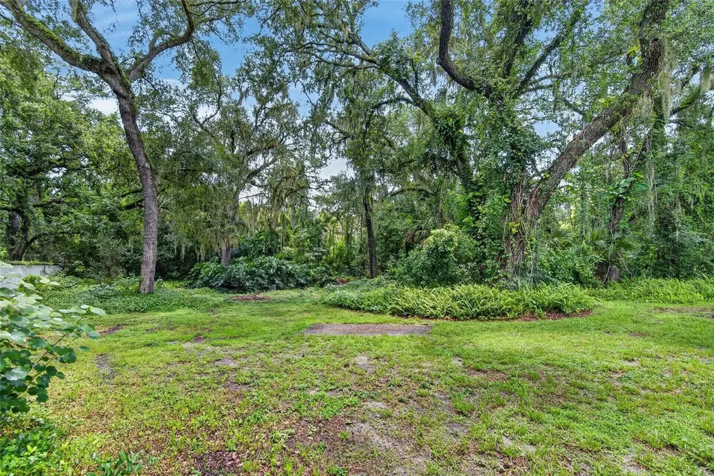 1701 Cottage Oaks Court Brandon FL 33510