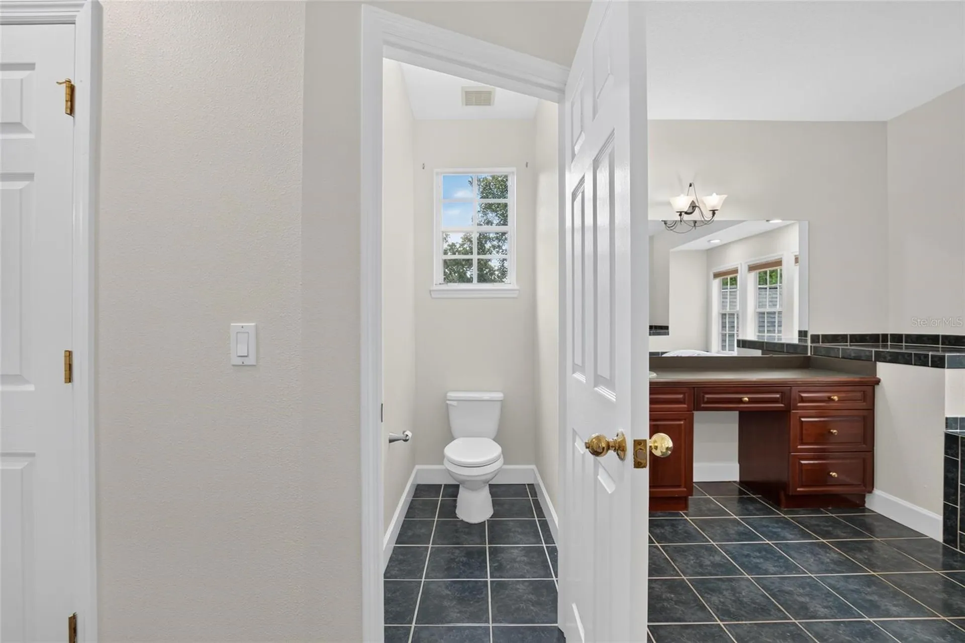 1701 Cottage Oaks Court Brandon FL 33510