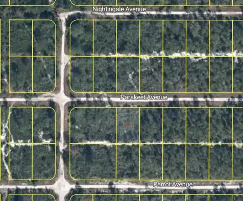649 Parakeet Avenue Sebring FL 33872