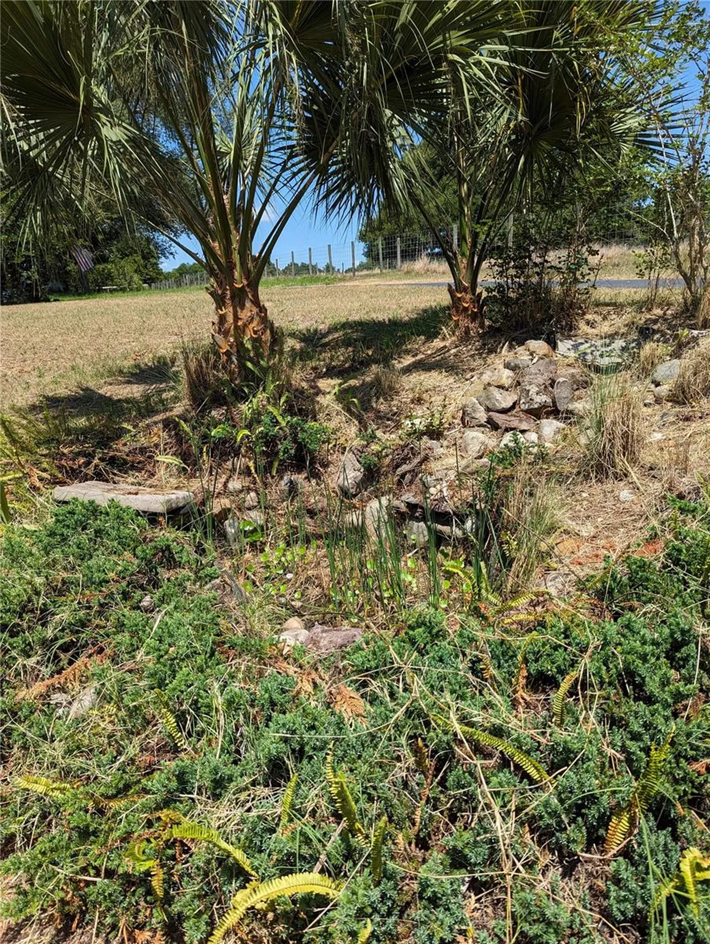 20333 Sugarloaf Mountain Road Clermont FL 34711