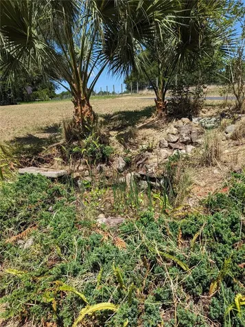 20333 Sugarloaf Mountain Road Clermont FL 34711