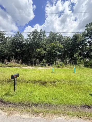161 Sparrow Court Poinciana FL 34759