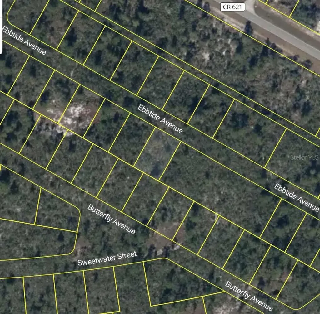 425 Ebbtide Avenue Lake Placid FL 33852