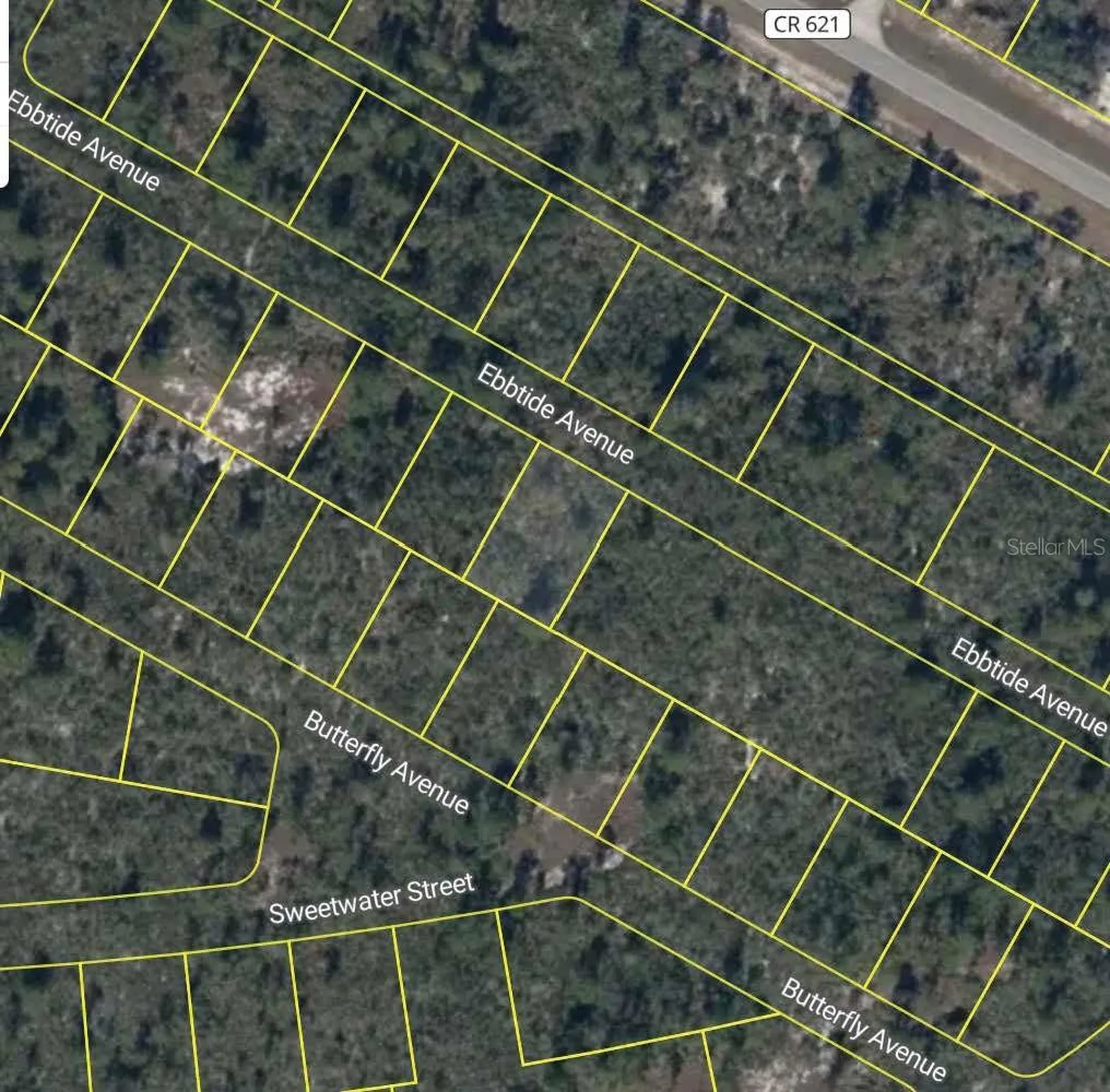 425 Ebbtide Avenue Lake Placid FL 33852