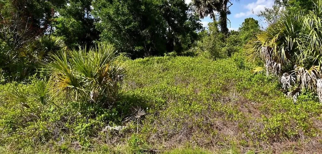 Roth Street North Port FL 34288