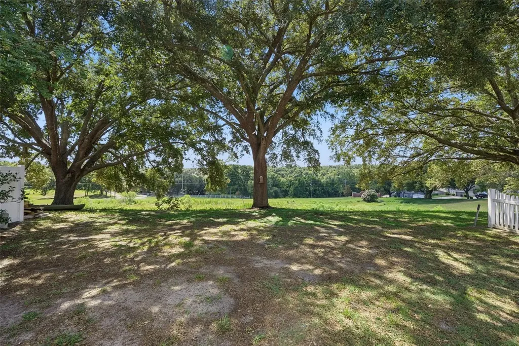 2080 Cranberry Isles Way Apopka FL 32712