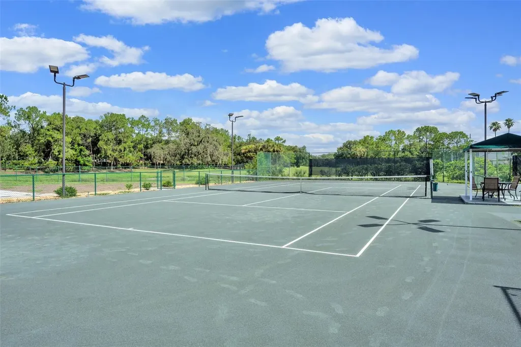 5429 Burnt Hickory Drive Valrico FL 33596