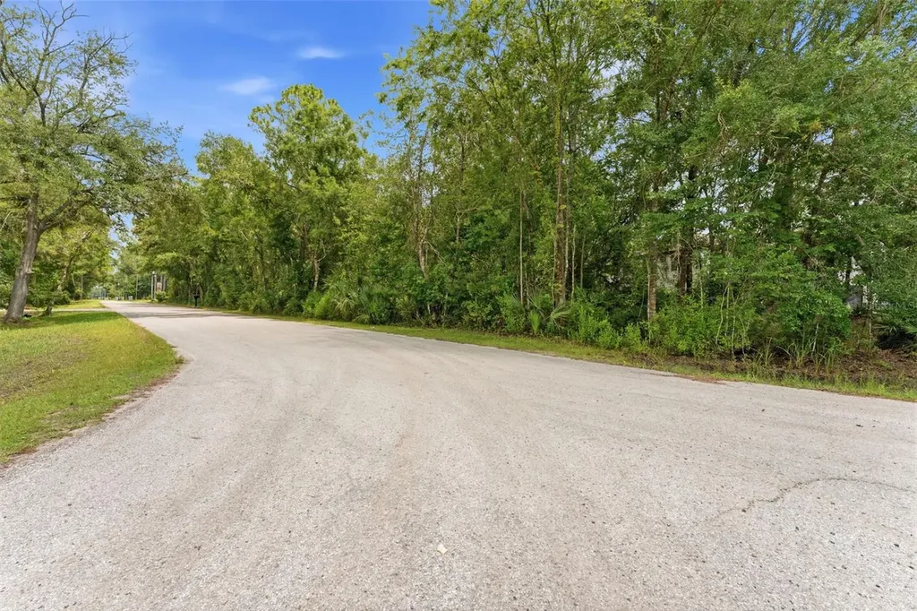 Raven Brook Road Wesley Chapel FL 33544