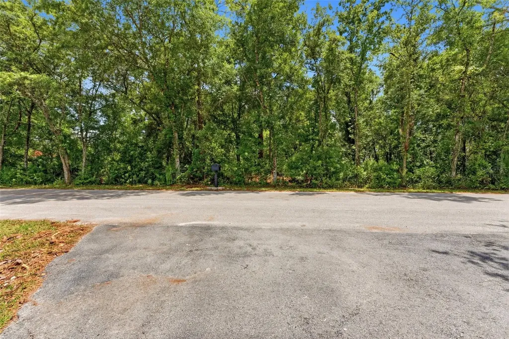 Raven Brook Road Wesley Chapel FL 33544