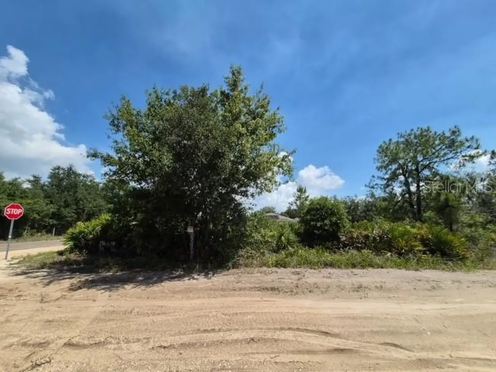 3040 W Hasbrouck Road Avon Park FL 33825