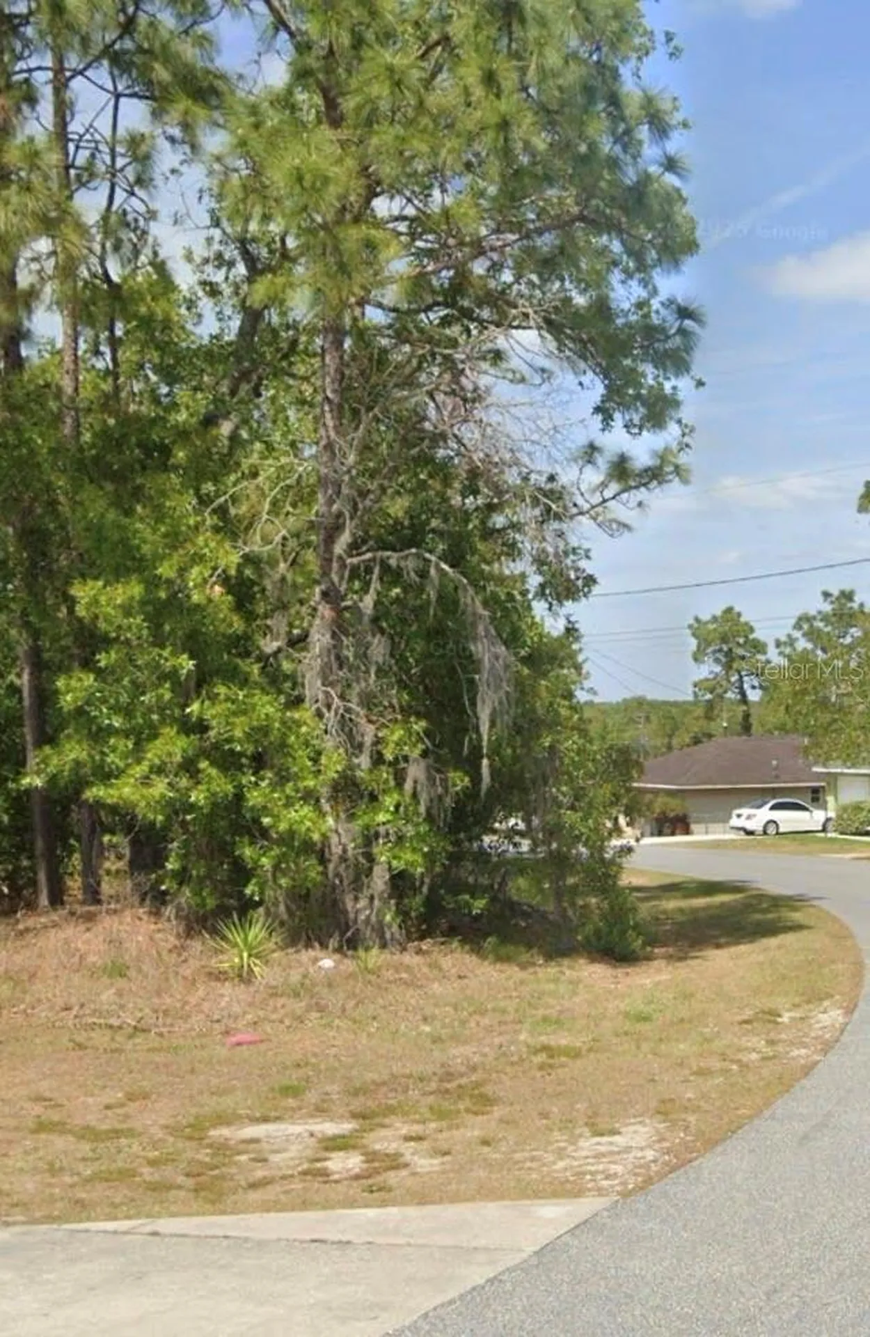 Tbd Pecan Pass Drive Ocala FL 34471