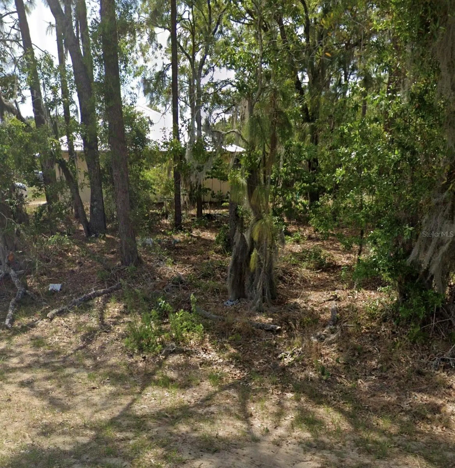 Tbd Pecan Pass Drive Ocala FL 34471