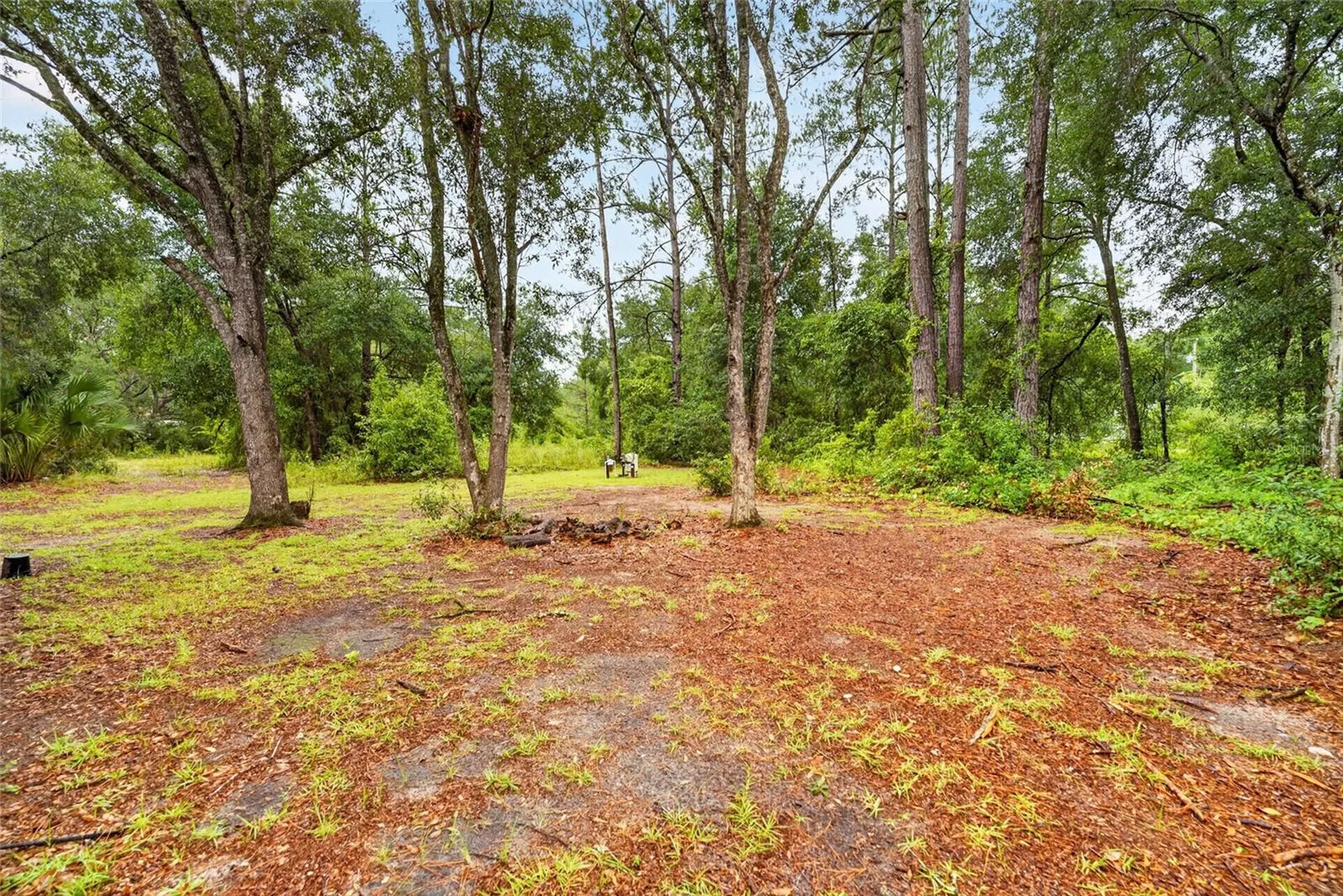 16640 SE 59th Place Ocklawaha FL 32179