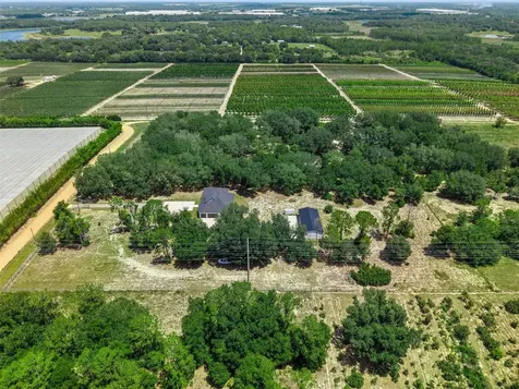 7739 N Cherry Lake Groves Road Groveland FL 34736