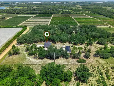 7739 N Cherry Lake Groves Road Groveland FL 34736