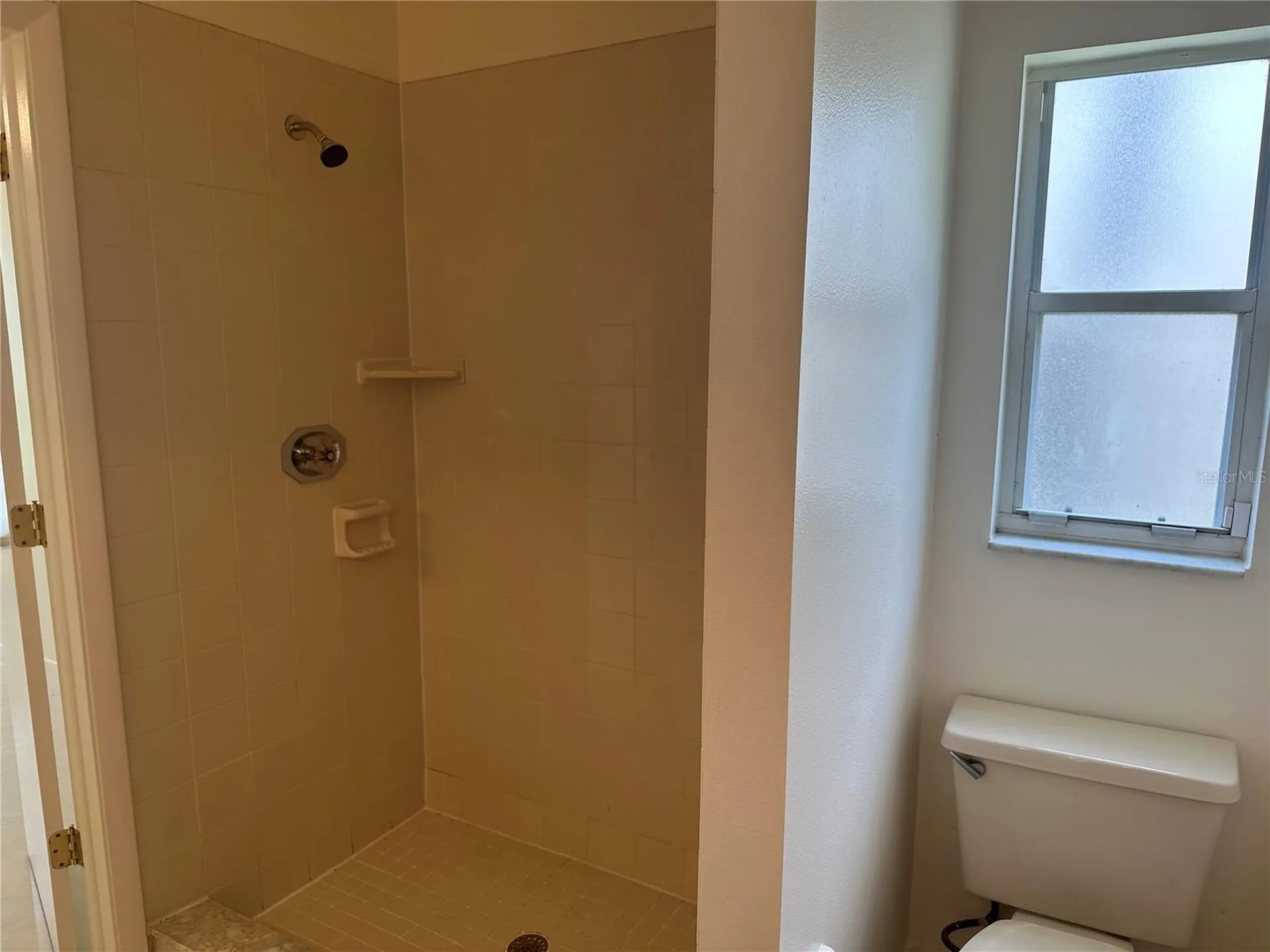 5915 Taywood Drive Tampa FL 33624